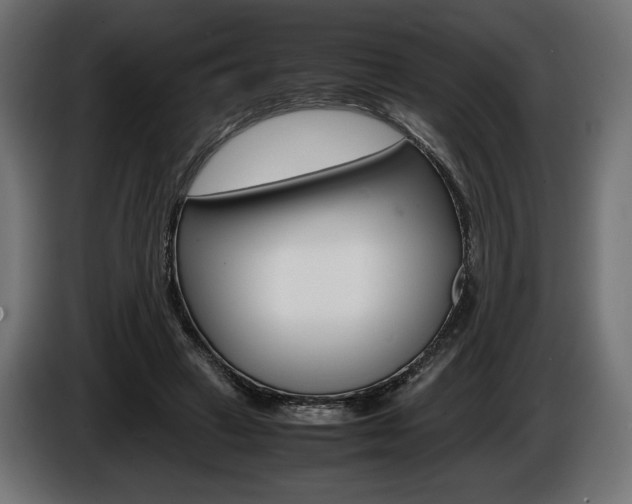 X0000086960449200704161127