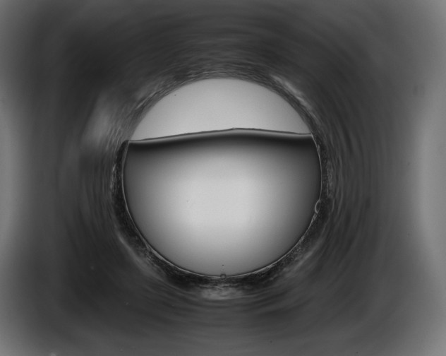 X0000086960451200704161127