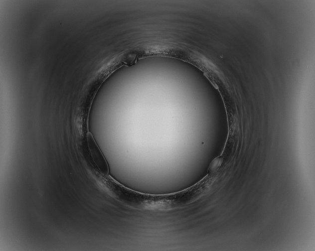 X0000086960452200704161128