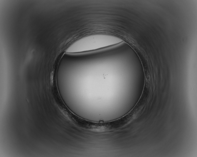 X0000086960454200704161128