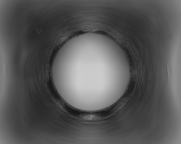 X0000086960460200704161128