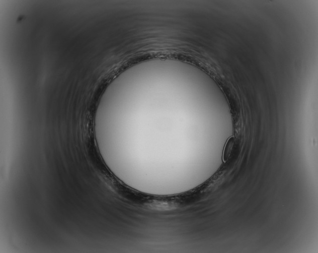 X0000086960464200704161128