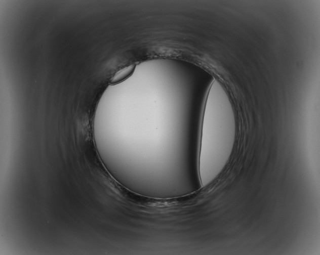 X0000086960465200704161128