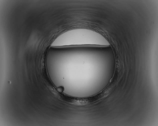 X0000086960466200704161128