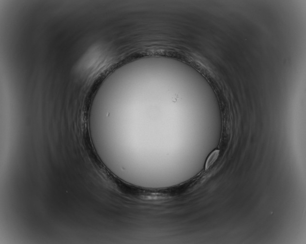 X0000086960467200704161128
