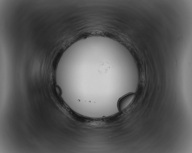 X0000086960468200704161128
