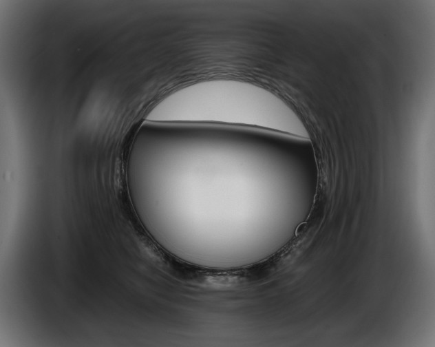 X0000086960470200704161128