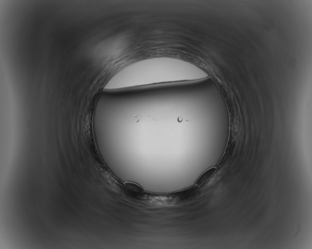 X0000086960473200704161128