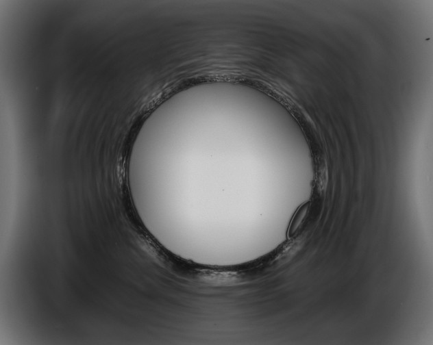 X0000086960476200704161128