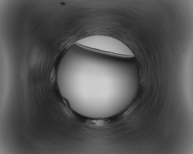 X0000086960478200704161128