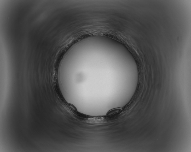 X0000086960480200704161128