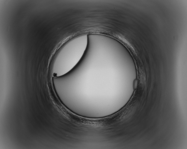 X0000086960486200704161127