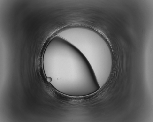X0000086960487200704161127