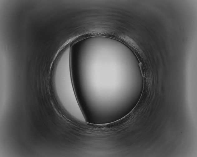 X0000086960488200704161127