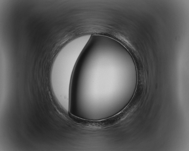 X0000086960489200704161127