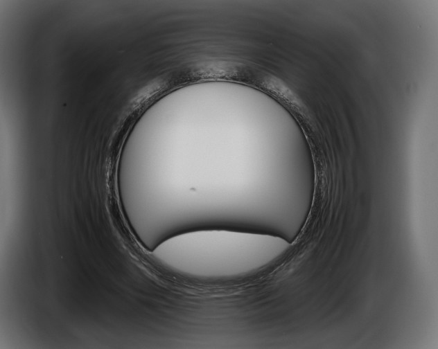 X0000086960490200704161127