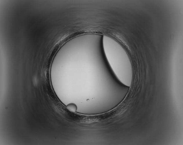 X0000086960491200704161127