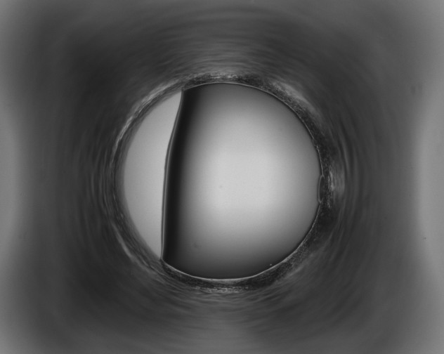 X0000086960492200704161127