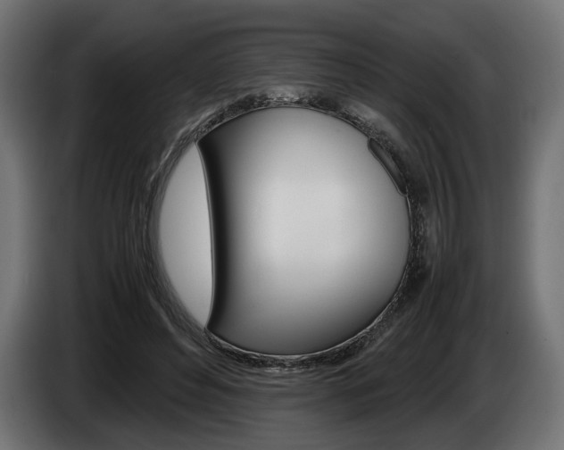 X0000086960496200704161127