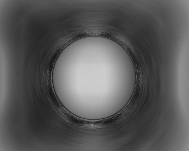 X0000086960498200704161127