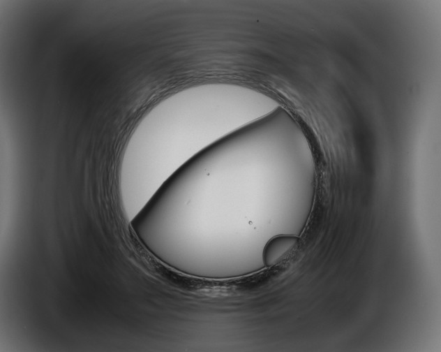 X0000086960499200704161127