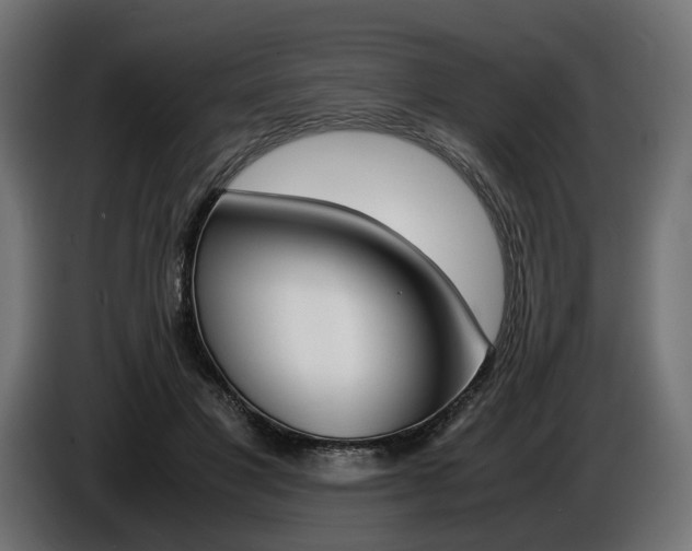 X0000086960501200704161127