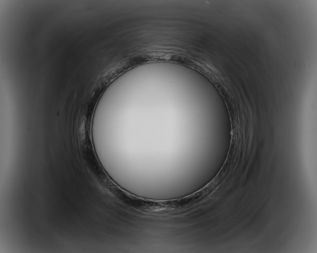 X0000086960504200704161127