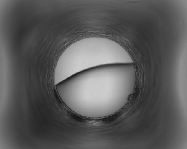 X0000086960511200704161127