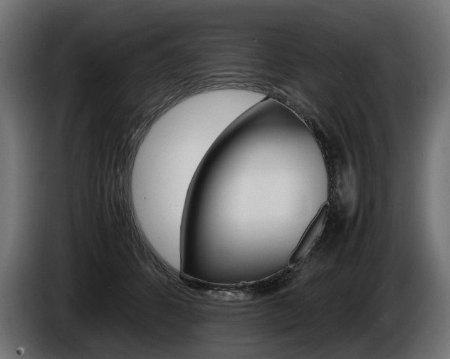 X0000086960512200704161127