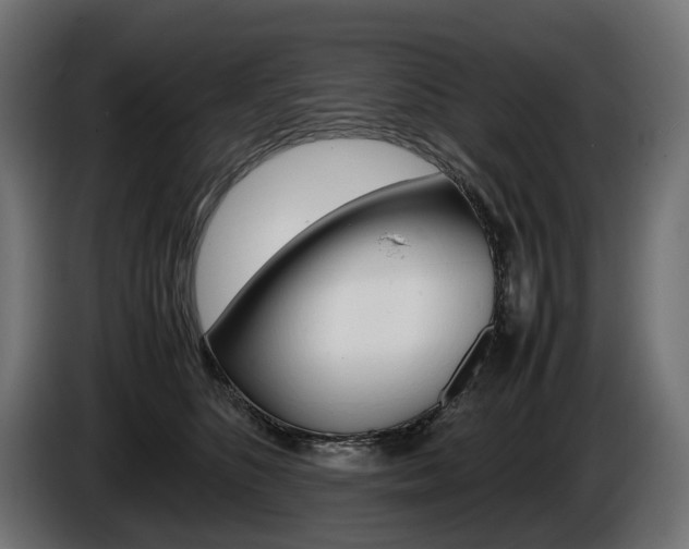 X0000086960516200704161127