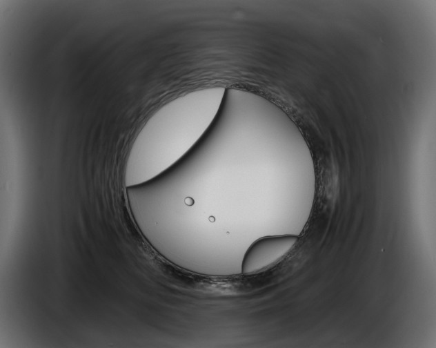 X0000086960518200704161127