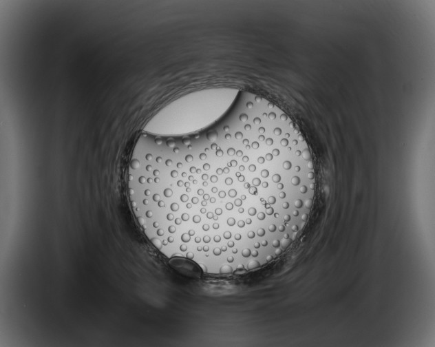 X0000086960519200704161127