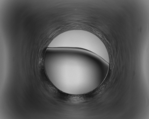 X0000086960521200704161127