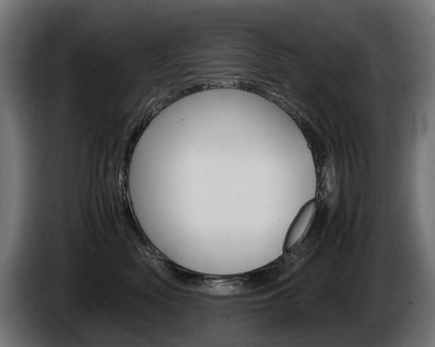 X0000086960522200704161127