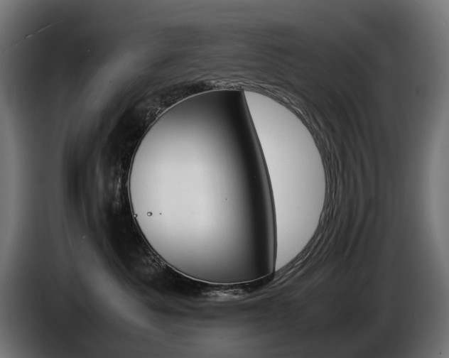 X0000086960525200704161127