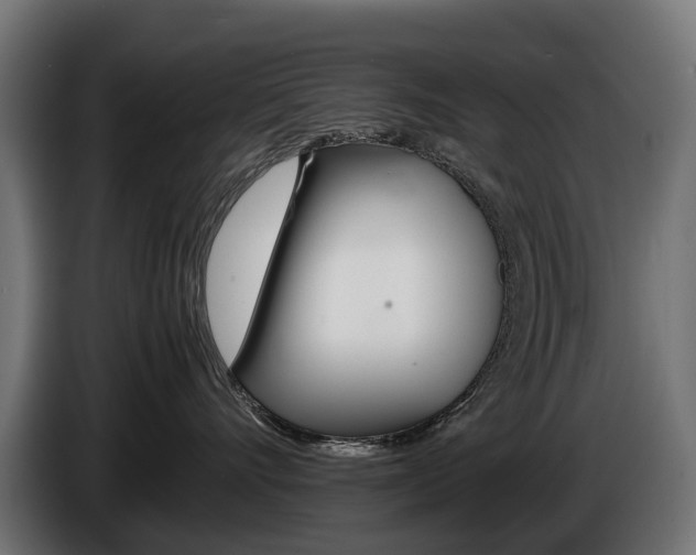 X0000086960528200704161127