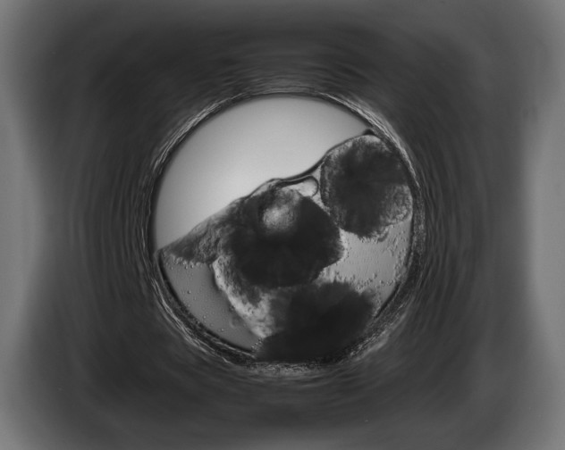 X0000086960529200704161126