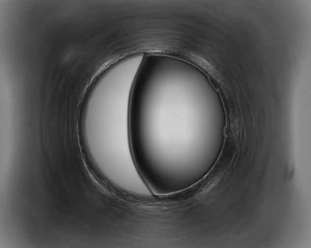 X0000086960530200704161126