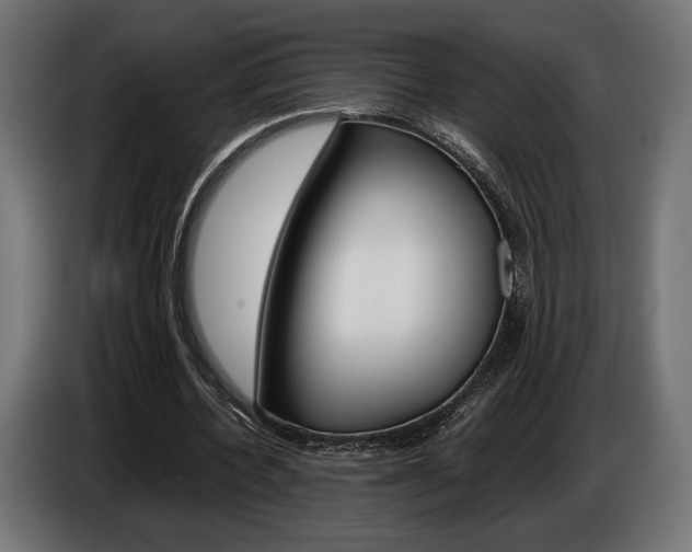 X0000086960532200704161126