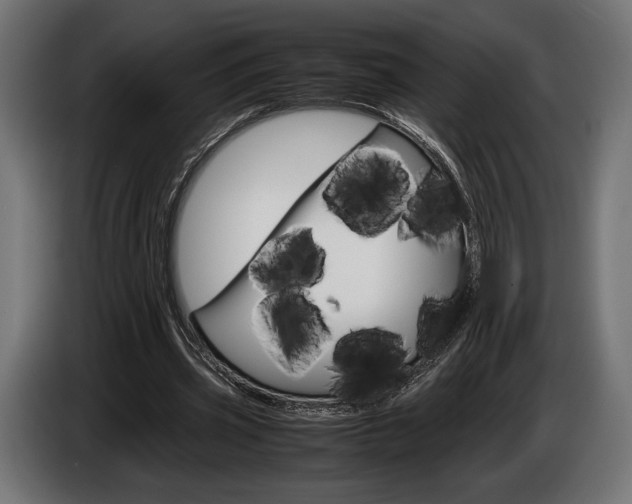 X0000086960533200704161126