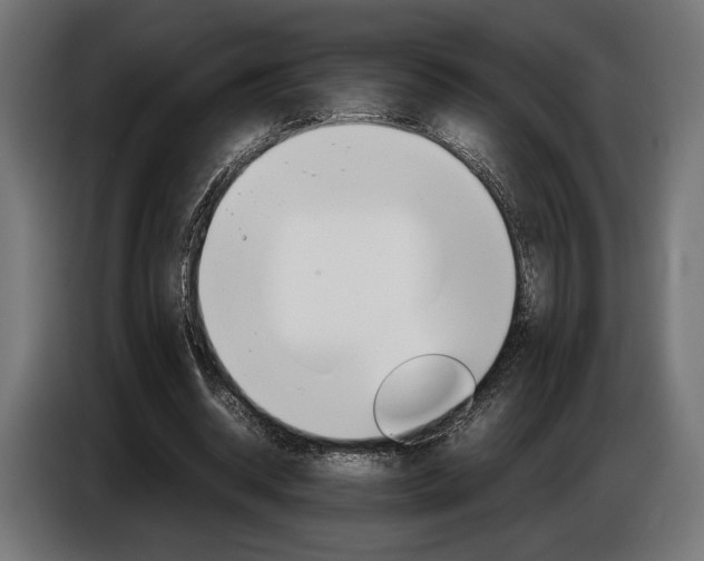 X0000086960534200704161126