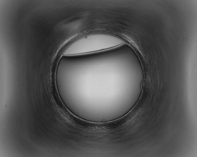 X0000086960535200704161126