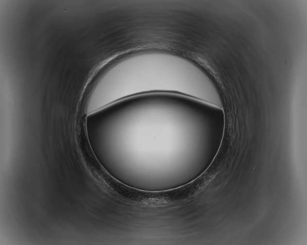 X0000086960536200704161126