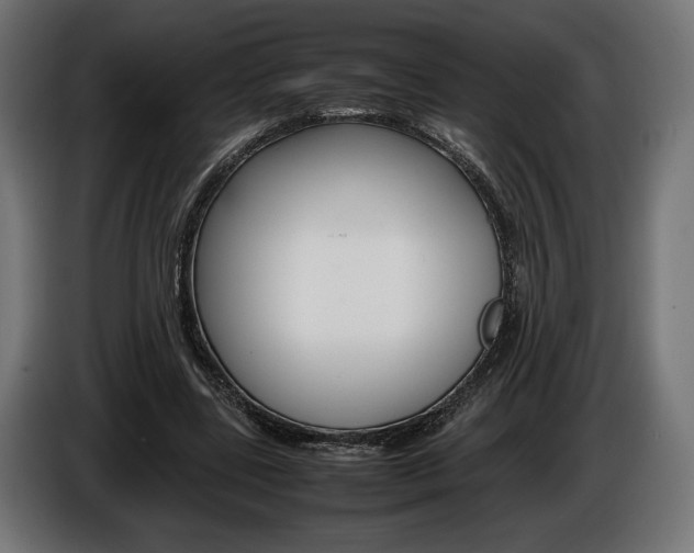 X0000086960539200704161126