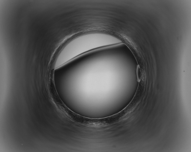 X0000086960540200704161126
