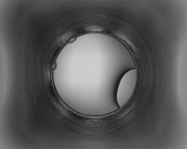 X0000086960541200704161126