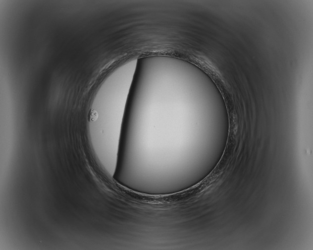 X0000086960542200704161126