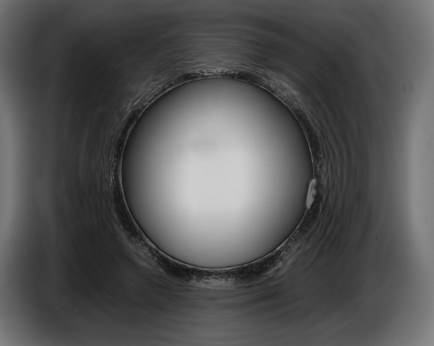 X0000086960546200704161126