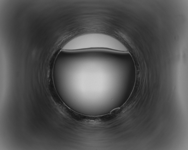X0000086960548200704161126