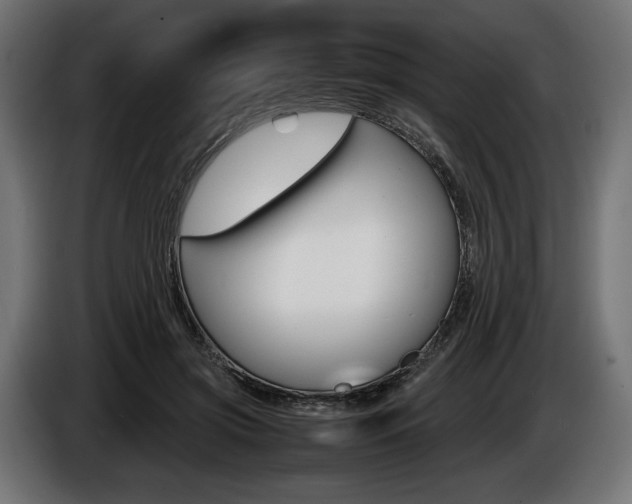 X0000086960549200704161126